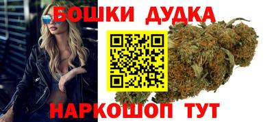 индика Аргун
